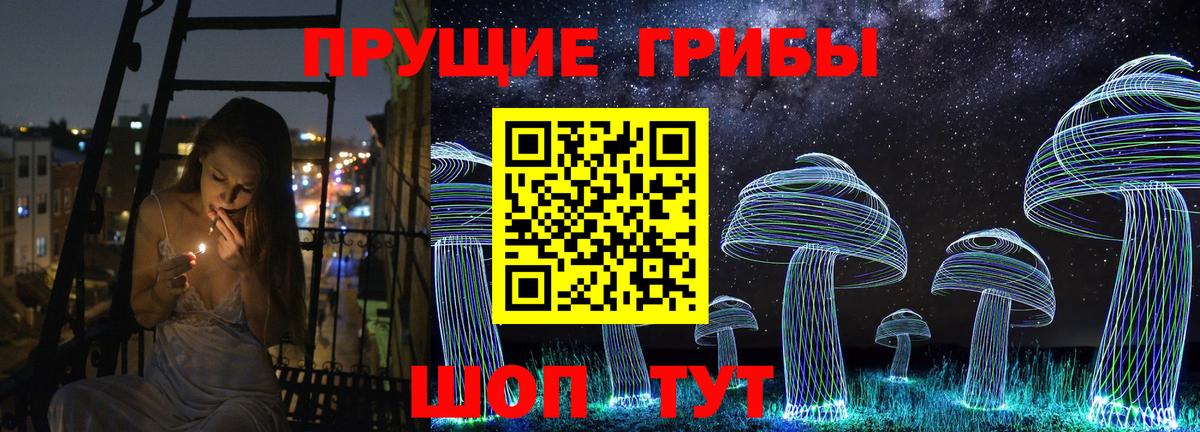 Галлюциногенные грибы Cubensis  Всеволожск 