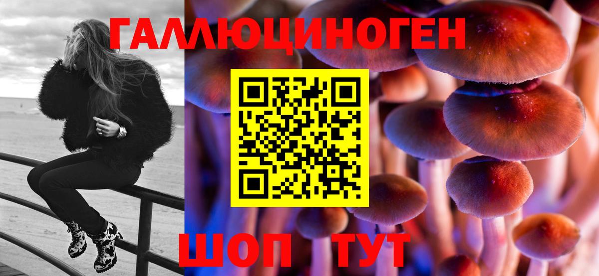Галлюциногенные грибы Magic Shrooms  Псилоцибиновые грибы мицелий  Всеволожск  Вход с VPN 